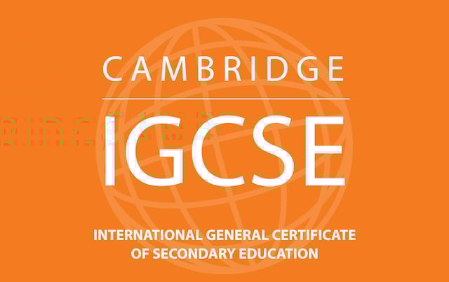 16-year-old Nigerian emerges top in IGCSE English