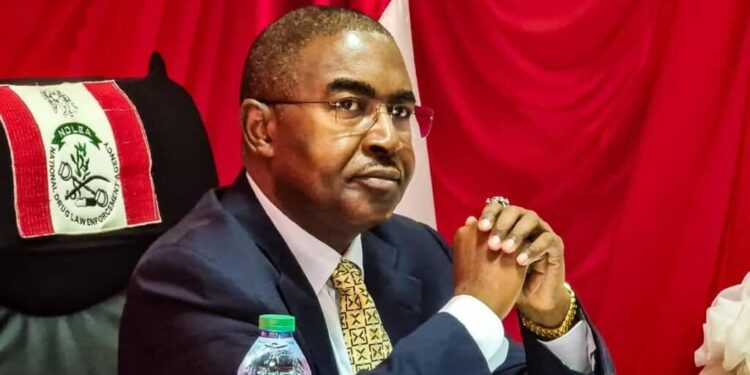 President Tinubu reappoints Mohammed Buba Marwa as NDLEA chairman